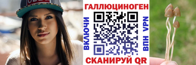 наркотики  Сафоново  Псилоцибиновые грибы мицелий 