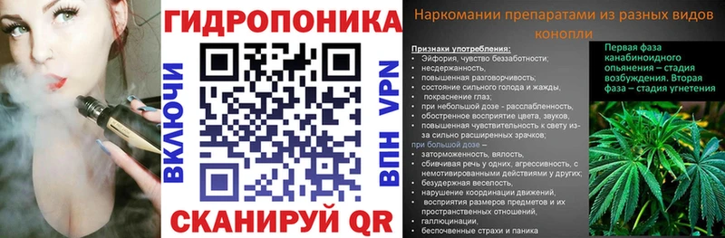 что такое   Сафоново  кракен tor  shop телеграм  Конопля семена 